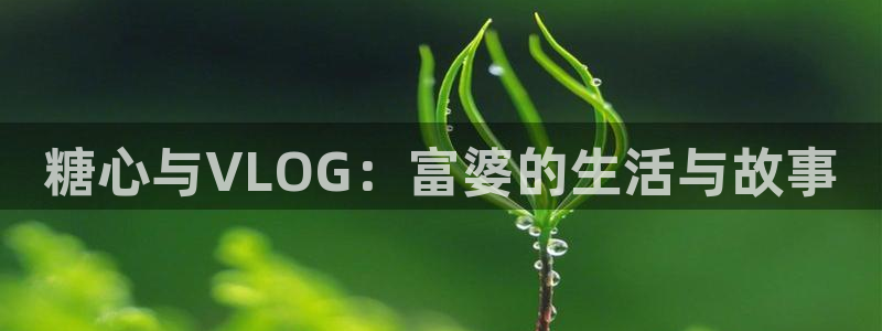 糖心Vlog优质up主：糖心与VLOG：富婆的生活与故事