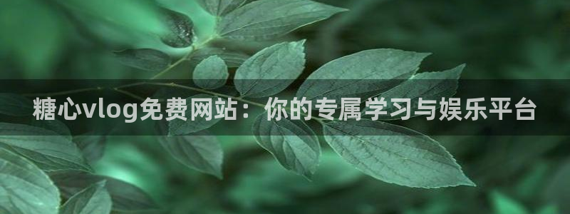 糖心Vlog现在：糖心vlog免费网站：你的专属学习与娱乐平台