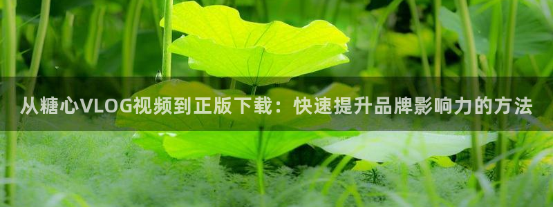 9糖心vlog:从糖心VLOG视频到正版下载:快速提升品牌影响力的方法