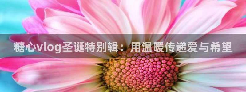 糖 心vlog演员：糖心vlog圣诞特别