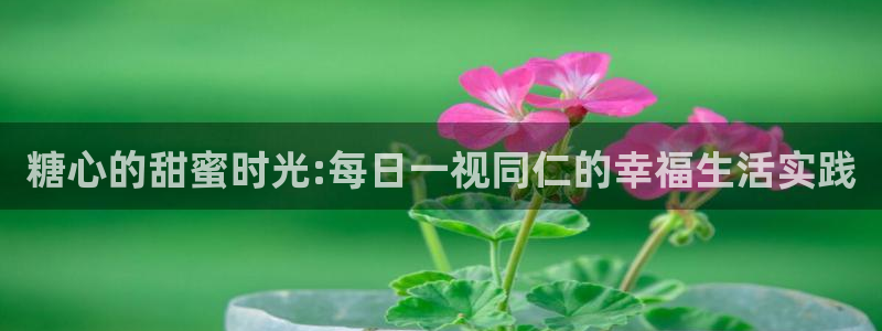 糖心vlog在线晚晚：糖心的甜蜜时光:每