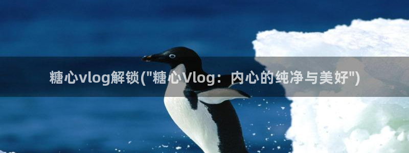 糖心vlog色安装：糖心vlog解锁(\