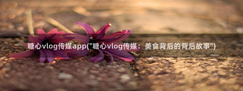 蛇信子糖心vlog:糖心vlog传媒app(\