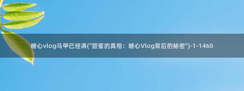 糖心vlog 软件功能：糖心vlog马甲