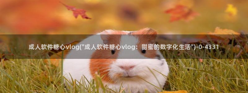 糖心Vlog国产网站