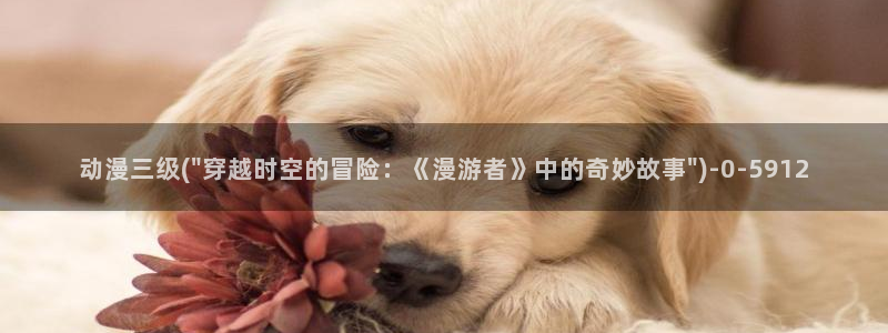好想告诉你动漫