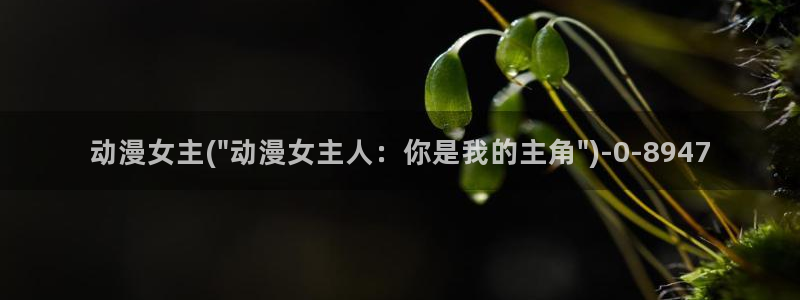 风车动漫网